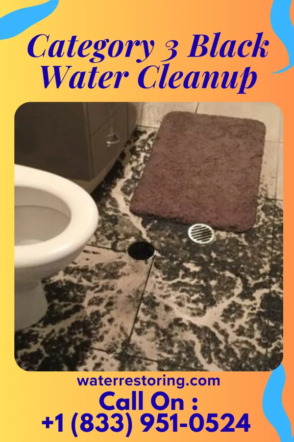 Category 3 Black Water Cleanup in Fairfield Bay, AR